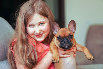 Little girl holding adorable cute little pet French bulldog puppy.