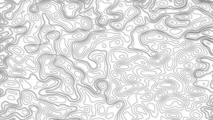 White wave paper curved reliefs abstract background, Abstract topographic contours map background. Geographic mountain relief. Abstract lines background. Contour maps. Business concept.