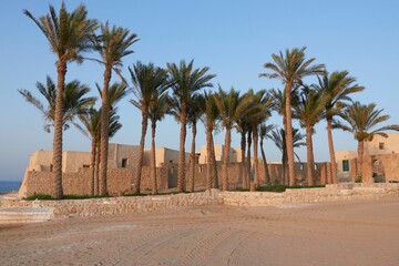 Scenic view of stone houses and palm trees in Marsa Alam, Egypt at sunset