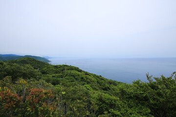 Fototapeta na wymiar 高知県室戸市　高岡園地展望台からの風景
