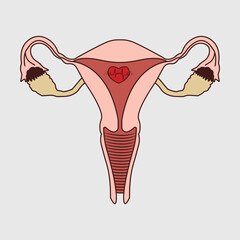 Uterus SVG Cut File, Women's Reproductive System Svg, Uterus Anatomy Svg, Gynecology Svg, Feminist Svg, Medical Svg,