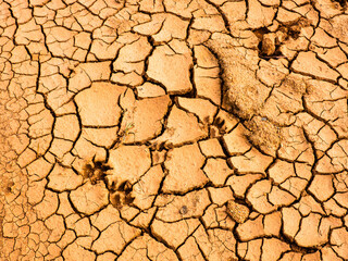 Ground separated. Texture of ground cracked surface close-up background. Brown color.
