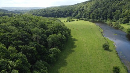 Aerial view of a river flowing through green land on a beautiful sunny day in Thomastown, Kilkenny - obrazy, fototapety, plakaty