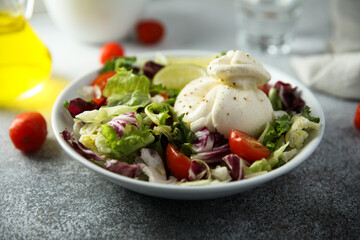 Healthy green salad with tomato and burrata cheese