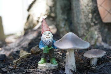 Closeup of gnome and mushroom statues in the garden