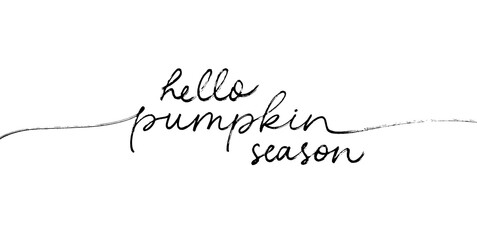 Hello pumpkin season handwritten linear style lettering. Modern mono line calligraphy. Autumn greeting card with swashes. Fall season hand drawn cursive typography isolated on white - obrazy, fototapety, plakaty