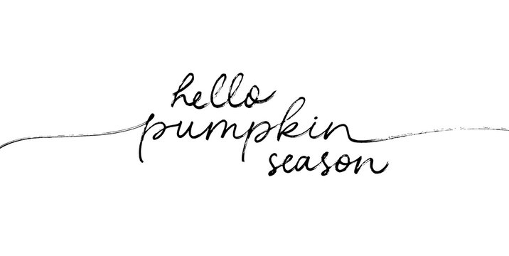 Hello pumpkin season handwritten linear style lettering. Modern mono line calligraphy. Autumn greeting card with swashes. Fall season hand drawn cursive typography isolated on white