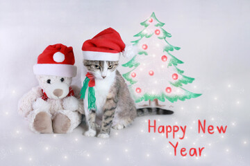 Cat in a Santa Claus hat sits next to a teddy bear in a Santa Claus hat. Christmas Cat on a white background. New Year's card with a little Kitten. Happy New Year. Winter. Inscription Happy New Year. 