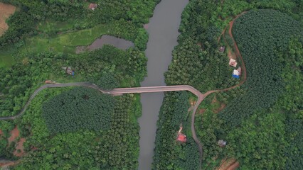 Mesmerizing view of a river surrounded by dense green forest and a bridge over the water © Alien Eye/Wirestock Creators