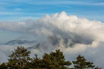 A cloudy mountain peak and pine trees