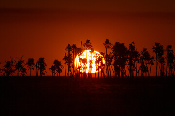 Beautiful landscape