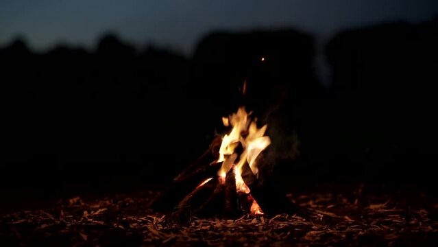 nice close up images of a campfire at night