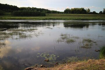 River in the countryside in summer with a forest on the banks