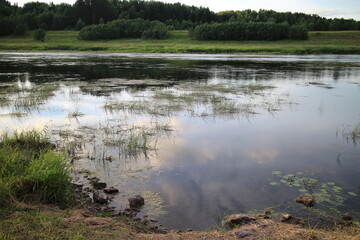 River in the countryside in summer with a forest on the banks