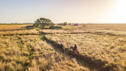 Beautiful landscape