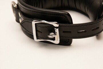 Closeup of a shiny metallic buckle on leather collar isolated on white