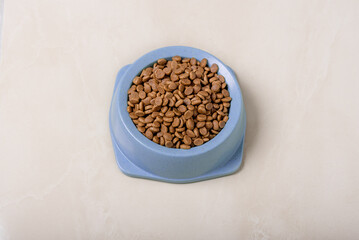 Dry cat food in a bowl on the floor in the room