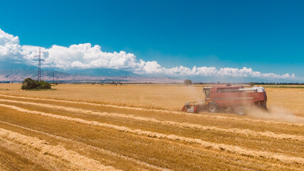 Fototapeta premium Aerial view of Combine Harvester Harvesting Wheat In Agricultural Field