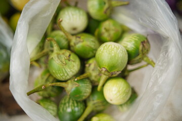 Fresh eggplant green organic at traditional market