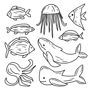 Underwater animals hand drawn set vector illustration. Aquatic fauna collection in doodle style. Marine life Isolated on white background vector illustration.