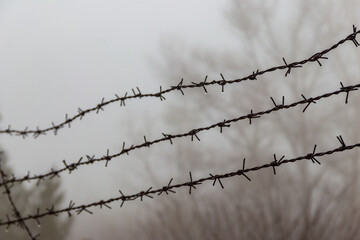 Close-up of the barbed wire fence in fog