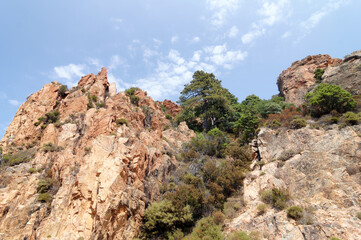 Fototapeta na wymiar Red granite rock formations between Piana village in Corsica island
