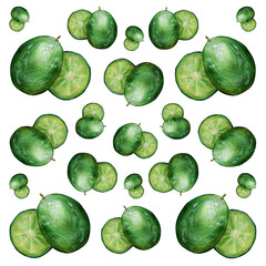 Set of green limes, pencil drawing.