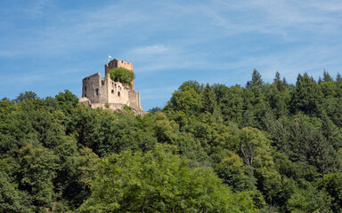 Fototapeta na wymiar Kastelburg in Waldkirch