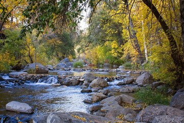 Oak Creek, Sedona, Arizona with yellow aspens on the bank.