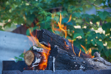 Burning wood in the grill on the background of green foliage.