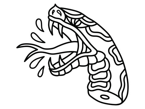 Snake Head Illustration  Snake drawing Snake tattoo design Snake  illustration