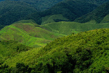 Fototapeta na wymiar nature mountains and trees in the rainy season