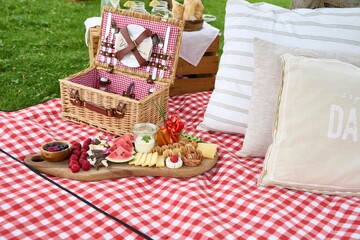 Beautiful countryside picnic blanket with pillows and an appetizer set