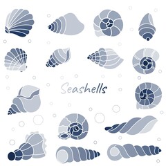Set of blue seashells for design. Cartoon sea and ocean shells.
