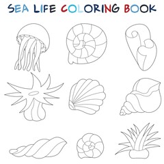 Sea shells, marine plants and jellyfish. Original coloring pages of the underwater world.