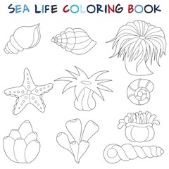 Anemone, starfish and seashells.  Original coloring pages of the underwater world.