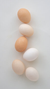 White And Brown Eggs On A White Background