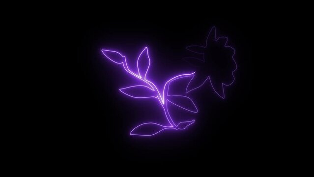 flower and leaf neon glowing effect animation. Black background and copy space. Abstract animation for overlay or blending. Motion Graphic.