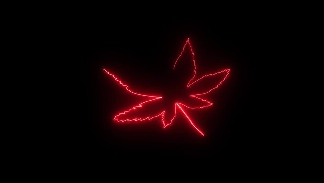 Leaf abstract Neon glowing color effect revealing animation. Black background and copy space. Abstract animation for overlay or blending. Motion Graphic.