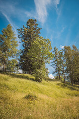 Obraz premium Natur