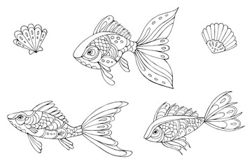 Vector Illustration of hand drawn fishes. Black and white vector illustration for coloring book. Beautiful drawings with patterns and small details.