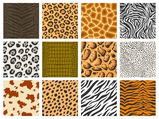 Animal pattern. Tiger leopard zebra skin texture collection, reptile and mammal camouflage printing, animal fur pattern. Vector safari background