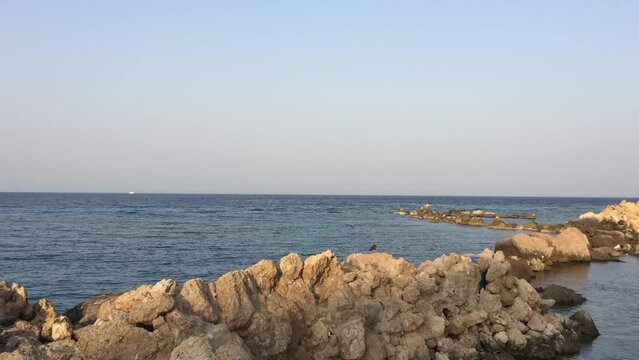 Seabird flying over rock formations amidst seascape. Scenic view of blue ocean against sky. Beautiful concept of seacoast nature.