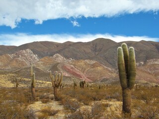 Monta&ntilde;as en el desierto