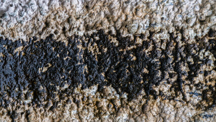 Texture of an old wall damaged by time and moisture.