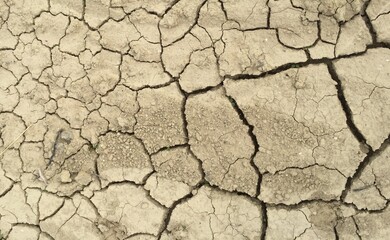 dry cracked earth