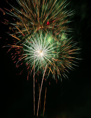 Fourth of July fireworks celebration