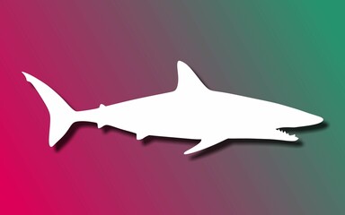 Silhouettes. White silhouette of a shark. On colorful background.