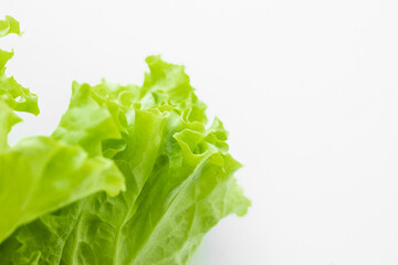 Fresh green lettuce leaves isolated on white background