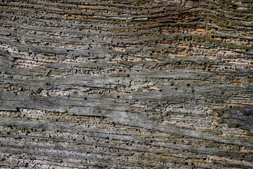 Tabl&oacute;n antiguo. 